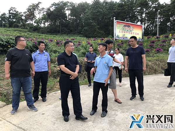 图为顾先林在普梯村三角梅培育基地了解产业发展情况.jpg