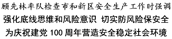 顾先林：强化底线思维和风险意识 切实防风险保安全 为庆祝建党100周年营造安全稳定社会环境(图1)
