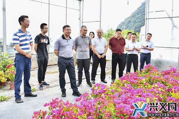 顾先林到则戎镇调研督导基层党建和乡村振兴时强调 坚持党建引领 推动乡村全面振兴(图1)