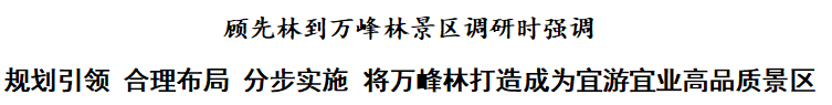 顾先林：规划引领 合理布局 分步实施 将万峰林打造成为宜游宜业高品质景区(图1)