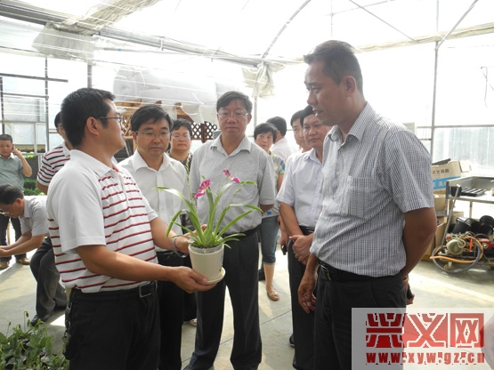 图为考察组在绿缘花卉考察兰草种植.jpg