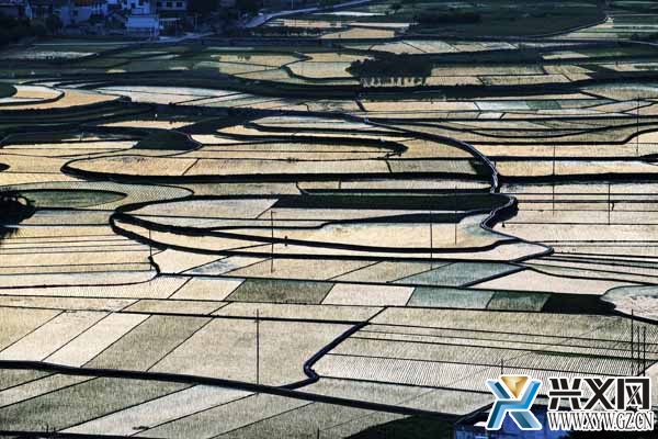 砥砺奋进的五年丨美丽乡村建设提升居民幸福指数(图文)