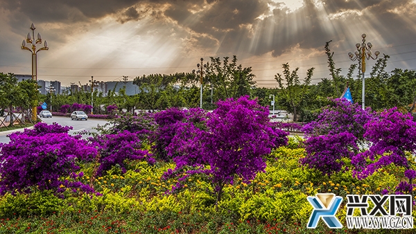 文明城市创建让兴义变得更美(图文)