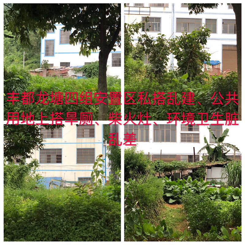 曝光台│乱停乱放、强行加塞……兴义这些不文明行为被曝光