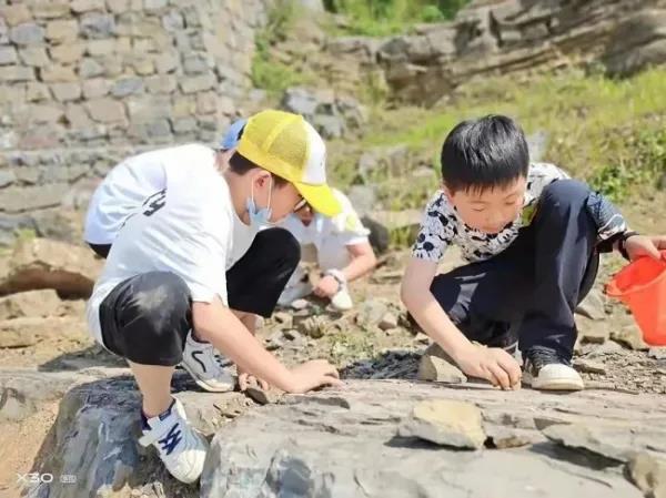 兴义国家地质公园博物馆: 感受地质文化的魅力(图3)