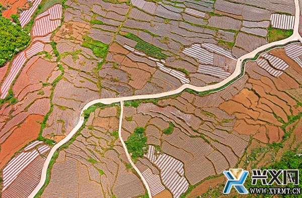 【辉煌四十年 奋进黔西南】兴义：产业发展旺 生态效益强(图2)