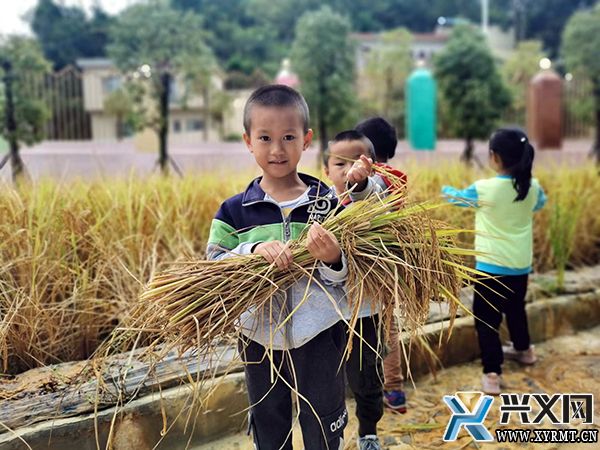 义龙新区两所州级示范幼儿园： “一校一特、一校一品” 打造高质量学前教育(图3)