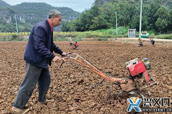 楼纳村抢抓农时种蒜忙(图2) 楼纳村抢抓农时种蒜忙(图2)