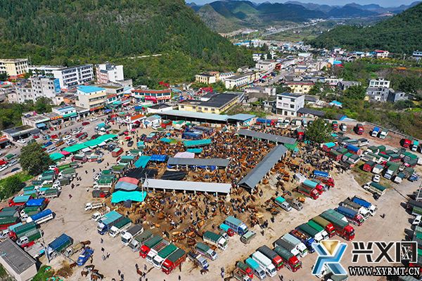 万屯大牲畜交易市场年交易额22亿元(图2)