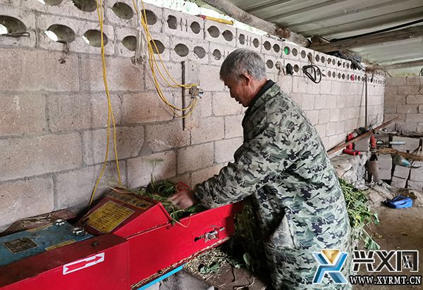 万屯镇做强“种、养、销”为一体的牛产业链条(图1) 万屯镇做强“种、养、销”为一体的牛产业链条(图1)