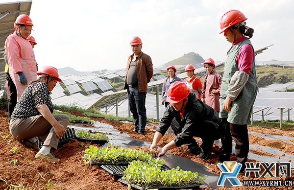 义龙新区：把党的二十大精神宣讲到田间地头(图1)