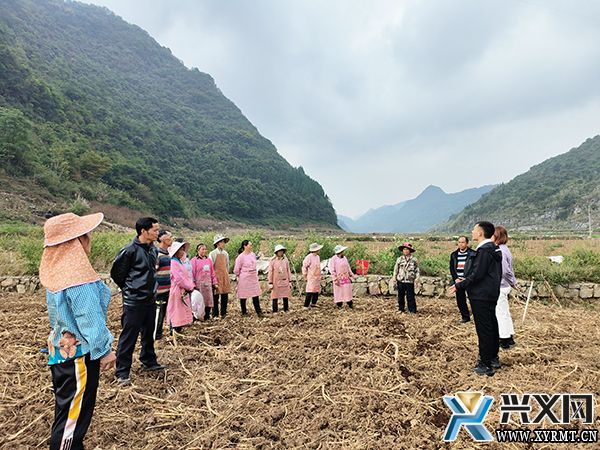 义龙新区:把党的二十大精神宣讲到田间地头(图2) 义龙新区:把党的二十大精神宣讲到田间地头(图2)