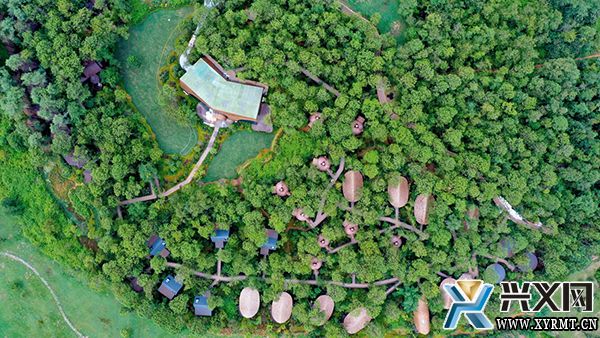 云屯·星空树屋野奢酒店项目二期11月26日投入运营(图1)