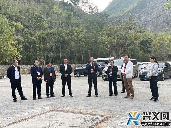 省十三届人大代表到兴义义龙开展集中视察活动(图1)
