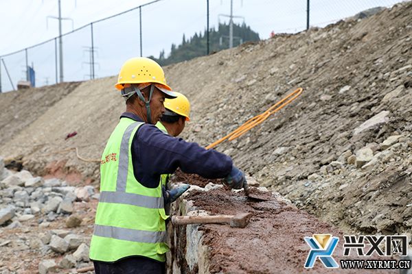 德卧镇：金银花烘干分拣转运中心项目完成70%工程量(图1)