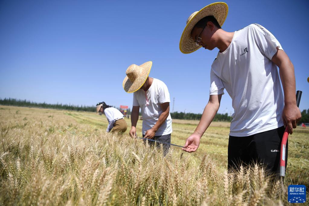 新时代新征程新伟业|大河上下满目新——贯彻落实党的二十大精神加强黄河流域生态保护观察(图9) 新时代新征程新伟业|大河上下满目新——贯彻落实党的二十大精神加强黄河流域生态保护观察(图9)
