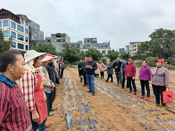 【深入学习贯彻党的二十大精神】 义龙新区：创新宣讲形式让党的二十大精神在基层落地生根(图2)