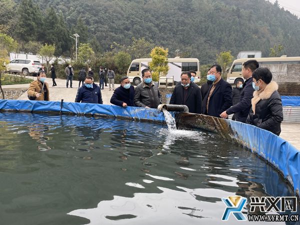 驻兴省、州人大代表到兴义义龙集中视察(图1) 驻兴省、州人大代表到兴义义龙集中视察(图1)