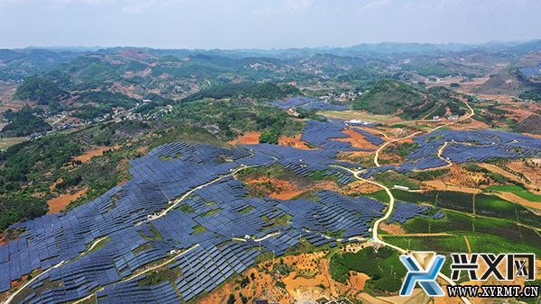 新桥镇木科村：光伏板下种蔬菜 “配套产业”助力乡村振兴(图2)