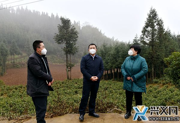 顾先林到雨樟镇调研基层党建、乡村振兴、民生保障、农村疫情防控等工作(图4) 顾先林到雨樟镇调研基层党建、乡村振兴、民生保障、农村疫情防控等工作(图4)