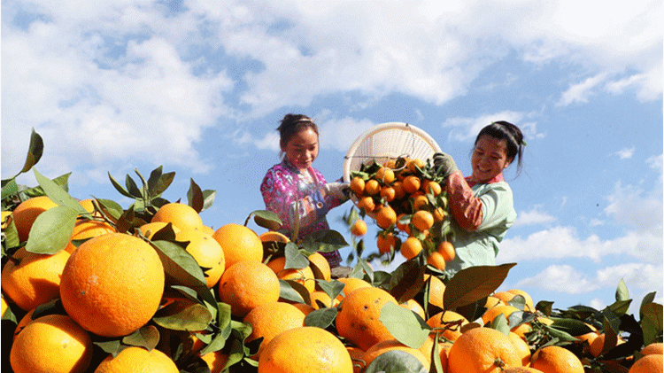 1673421060207755.gif 1650836637349006.gif