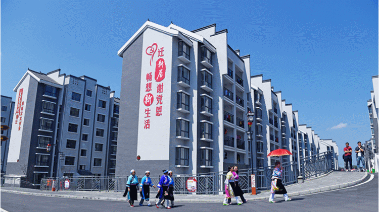 1673420351915515.gif 1650836215178375.gif