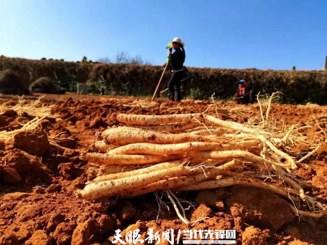 《贵州日报》刊登乾兴平署名文章:坚定信心 勇毅前行 奋力谱写多彩贵州现代化建设新篇章|写在2023年省“两会”召开之际(图14) 微信图片_20211230235241.jpg