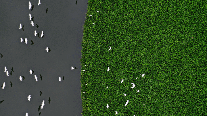 1673420521656104.gif 1638525_副本.gif