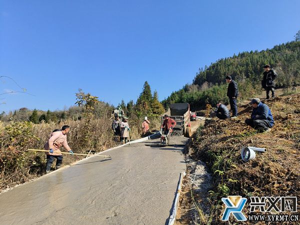 【新春走基层】雨樟镇：加快高标准农田建设 筑牢乡村振兴“耕”基(图2)