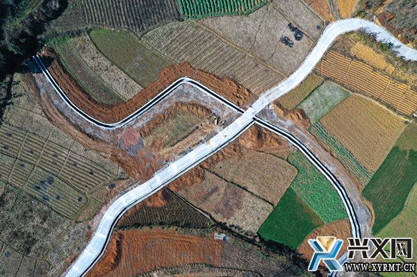 【新春走基层】雨樟镇：加快高标准农田建设 筑牢乡村振兴“耕”基(图3)