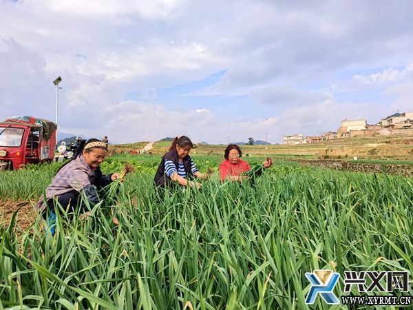 【新时代新征程新伟业】木陇街道:坚持高质量发展统揽全局 努力让搬迁群众安居乐业(图3) 【新时代新征程新伟业】木陇街道:坚持高质量发展统揽全局 努力让搬迁群众安居乐业(图3)