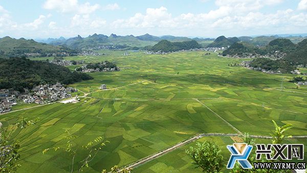 【新时代新征程新伟业】木咱镇：产业托起致富路 乡村振兴有奔头(图1)