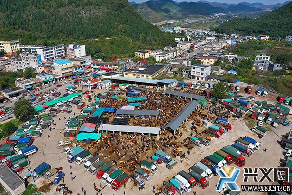 【新时代新征程新伟业】万屯镇：围绕“四新”主攻“四化” 奋力开创兴业强镇新局面(图2)