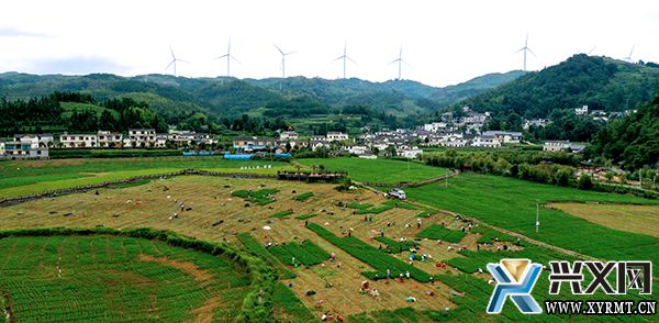 【奋进新征程 建功新时代】雨樟镇：以农兴镇以产强镇推动高质量发展(图2)