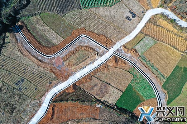 【奋进新征程 建功新时代】雨樟镇：以农兴镇以产强镇推动高质量发展(图3)