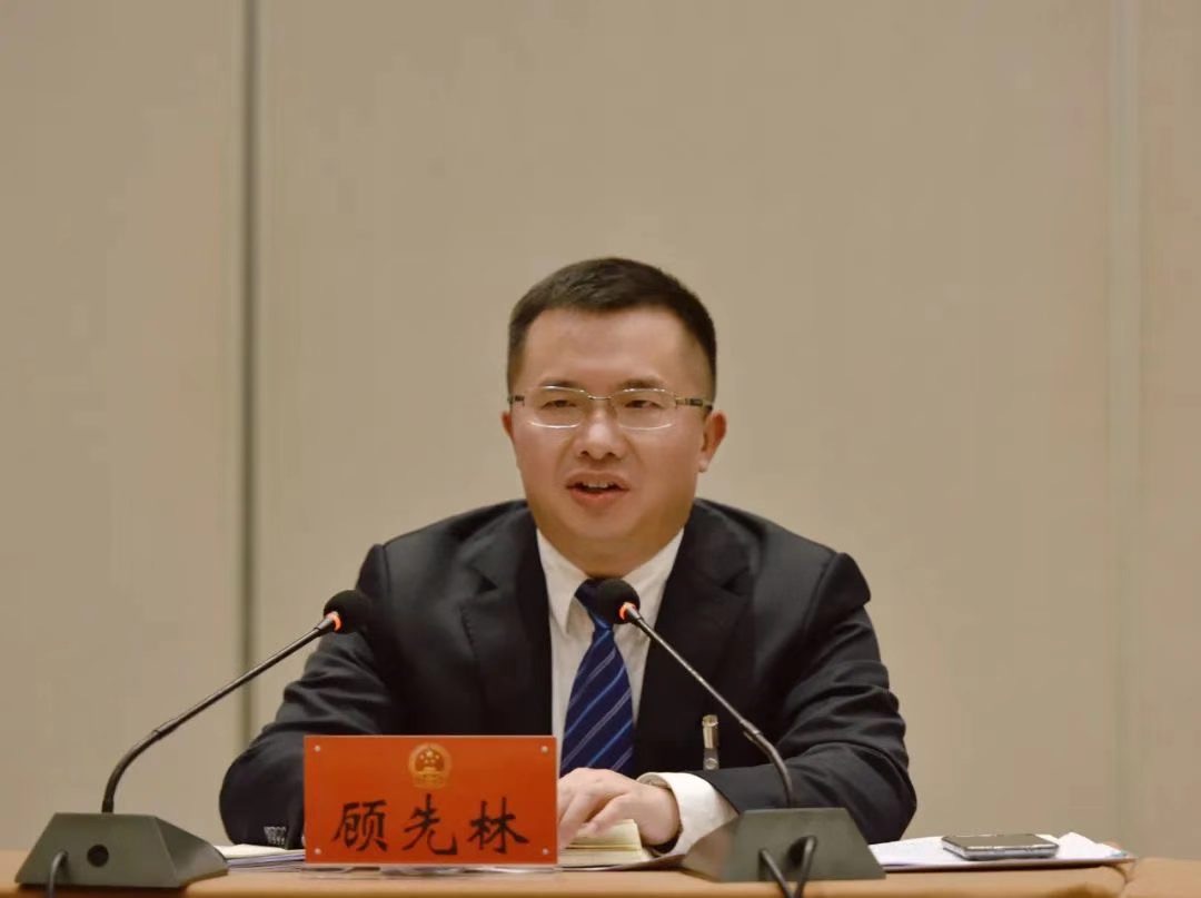 顾先林参加市九届人大二次会议第四代表团审议(图2)