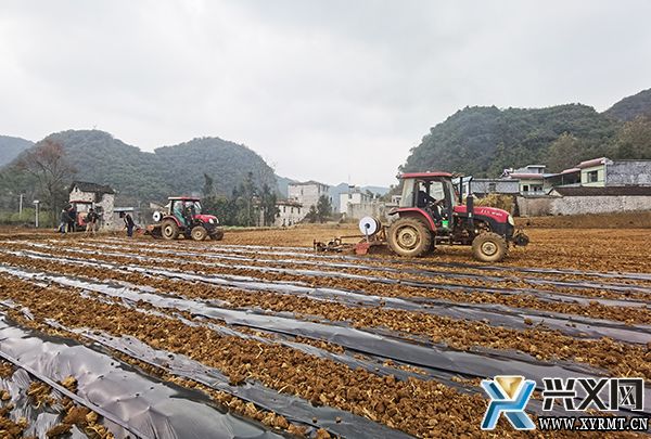 楼纳村400亩甜玉米产业基地春耕正当时(图1)