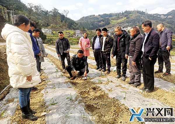 德卧镇扁占村：“大豆+玉米”复合种植技术培训忙(图1)