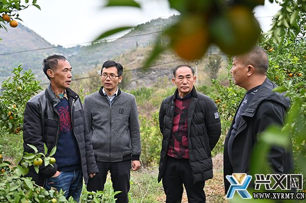 【抓党建促乡村振兴】团结村：强化组织堡垒 以产业振兴撬动乡村全面振兴(图3)