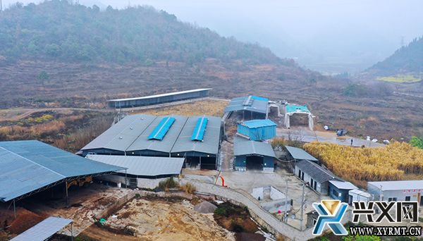 【“四乡”人才助力乡村振兴】许福敏：合作社示范带动 家庭牧场路更宽(图3)