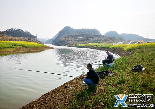 【康养胜地 人文兴义】马鞭田村：乡村美景引客来(图3)