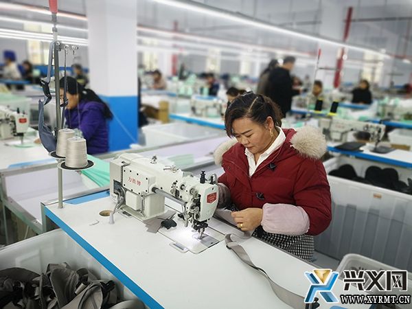 【“四乡”人才助力乡村振兴】曾杰：回乡办厂促就业(图2)