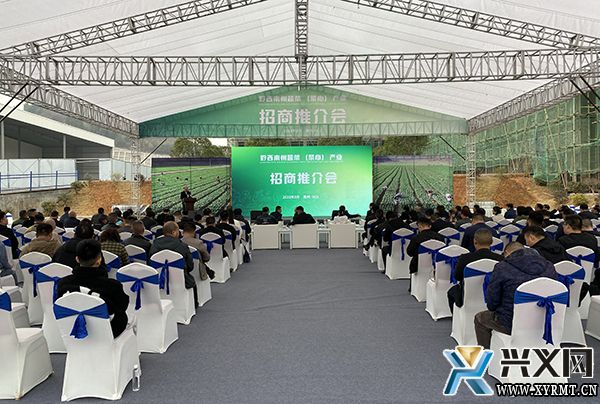黔西南州蔬菜（菜心）产业招商引资推介会在义龙新区举行 现场签约金额达13亿元(图1)