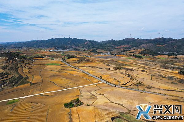 义龙新区雨樟镇：春耕生产正当时 多业并举促增收(图2)
