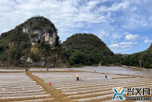 楼纳烟区产业综合体：烟农抢抓时令备耕忙(图1)