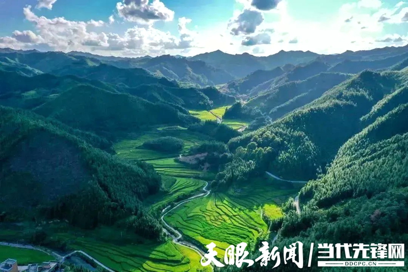 【康养胜地 人文兴义】已打造试点基地10个、民宿124家——森林康养成黔西南旅游新名片_兴义网