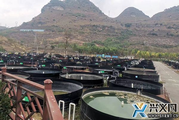 严打“食药环”违法犯罪 织密民生安全“防护网”——兴义市公安局食药环森侦查专班工作综述(图3)