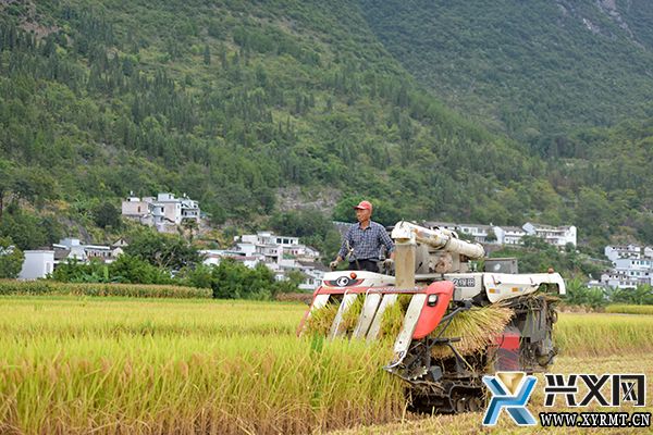 黔西南“三转两推一破”助农增产增收 农民田水稻平均亩产888.74公斤(图6)