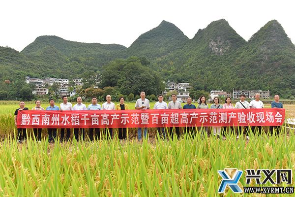 黔西南“三转两推一破”助农增产增收 农民田水稻平均亩产888.74公斤(图1)