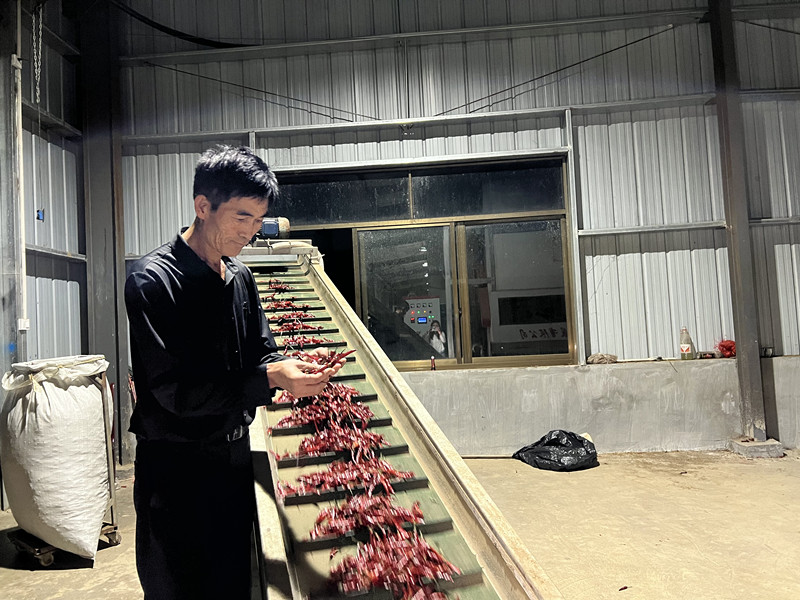 雨樟镇：“辣”出好产业 “椒”出致富花(图5)